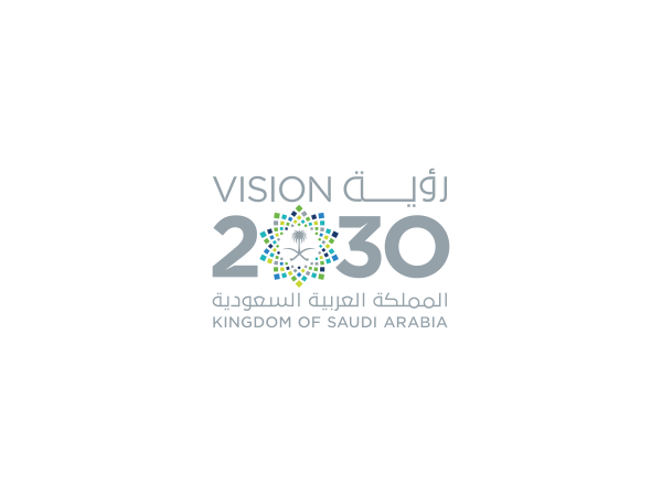 معاينة رؤية 2030