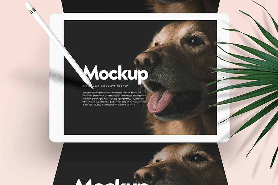 Doglr – IPad Mockup Scene PSD