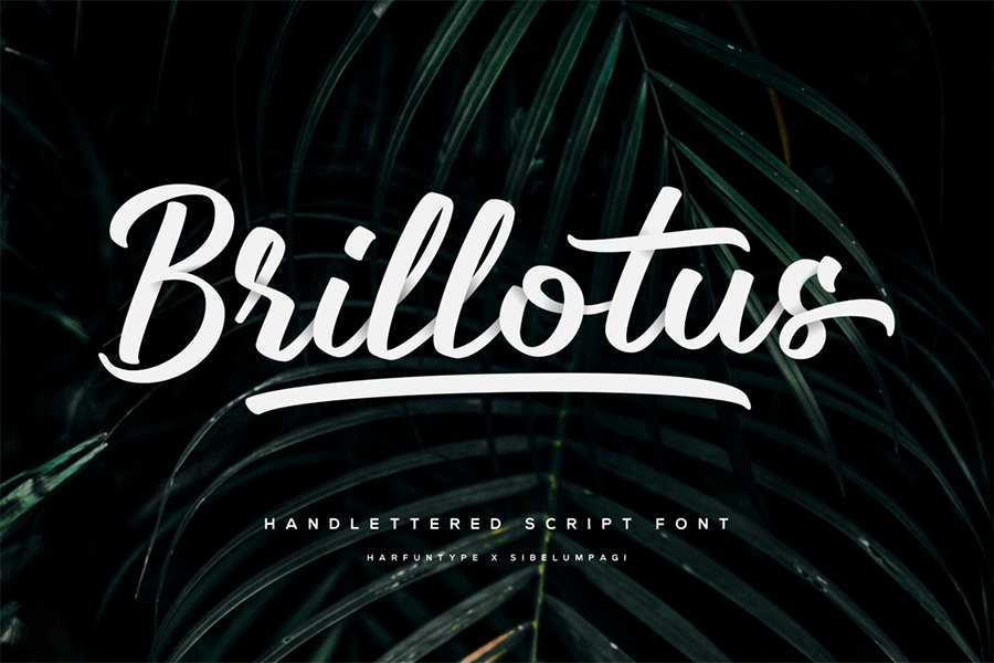 Brillotus Handlettering Script